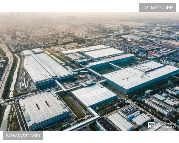 开云总站店铺布局分析及未来扩展发展的战略规划