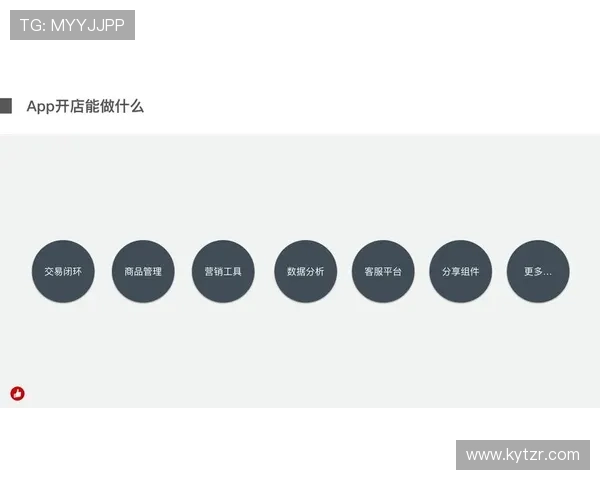 云开app登录遇到问题怎么办详细解决方案推荐