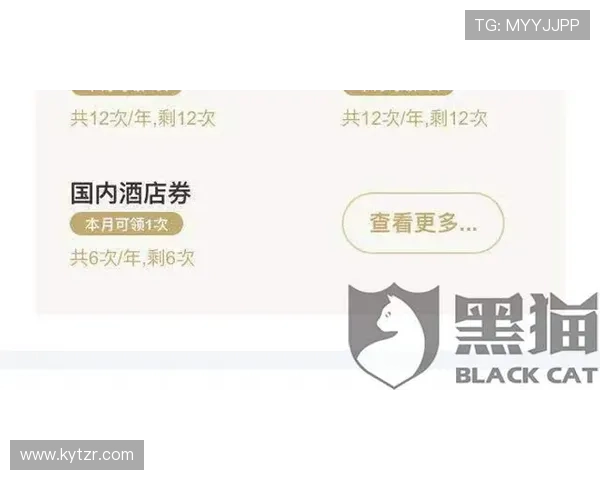 紧跟潮流的开云登陆指南助你轻松掌控高端时尚品牌的会员权益