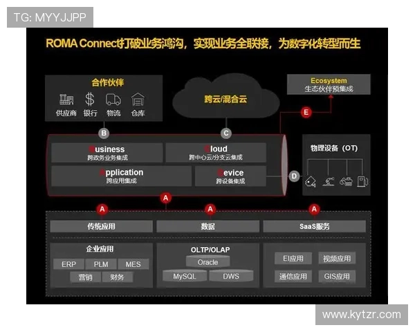 体育开云在推动体育产业数字化转型中的作用与未来发展趋势分析